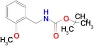 TERT-BUTYL 2-METHOXYBENZYLCARBAMATE