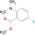 METHYL 2-(DIMETHYLAMINO)-5-FLUOROBENZOATE