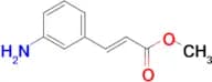 Methyl (E)-3-(3-aminophenyl)acrylate