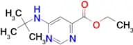 Ethyl 6-(tert-butylamino)pyrimidine-4-carboxylate