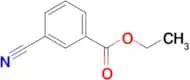 Ethyl 3-cyanobenzoate