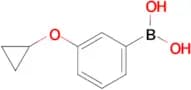 (3-Cyclopropoxyphenyl)boronic acid