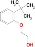 2-(2-tert-Butyl-phenoxy)-ethanol