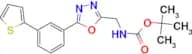 [5-(3-Thiophen-2-yl-phenyl)-[1,3,4]oxadiazol-2-ylmethyl]-carbamic acid tert-butyl ester