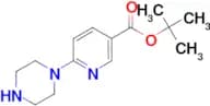 6-Piperazin-1-yl-nicotinic acid tert-butyl ester