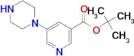 5-Piperazin-1-yl-nicotinic acid tert-butyl ester