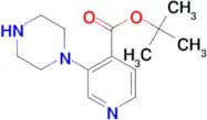 3-Piperazin-1-yl-isonicotinic acid tert-butyl ester