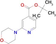 2-Morpholin-4-yl-isonicotinic acid tert-butyl ester