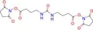 Disuccinimidyl dibutyric urea (C4 Urea Cross Linker) DSBU