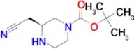 (S)-tert-Butyl 3-(cyanomethyl)piperazine-1-carboxylate
