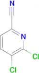 5,6-Dichloropicolinonitrile