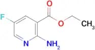 Ethyl 2-amino-5-fluoronicotinate
