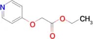 Ethyl 2-(pyridin-4-yloxy)acetate