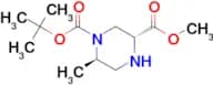 (3R,6R)-1-tert-Butyl 3-methyl 6-methylpiperazine-1,3-dicarboxylate