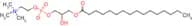 1-Palmitoyl-sn-glycero-3-phosphocholine