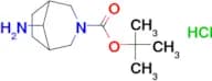 8-Amino-3-aza-bicyclo[3.2.1]octane-3-carboxylic acid tert-butyl ester hydrochloride