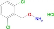 O-(2,6-Dichlorobenzyl)hydroxylamine hydrochloride