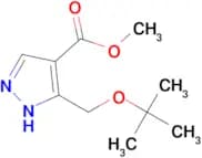 Methyl 3-(tert-butoxymethyl)-1H-pyrazole-4-carboxylate