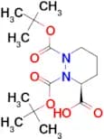 (S)-tetrahydropyridazine-1,2,3-tricarboxylic acid 1,2-di-tert-butyl ester