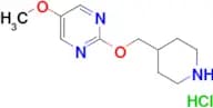 5-methoxy-2-[(piperidin-4-yl)methoxy]pyrimidine hydrochloride