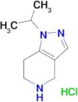 1-(Propan-2-yl)-1H,4H,5H,6H,7H-pyrazolo[4,3-c]pyridine hydrochloride