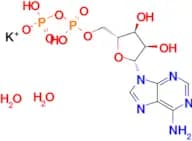 Adenosine 5′-diphosphate (monopotassium salt dihydrate)