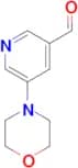 5-Morpholinonicotinaldehyde