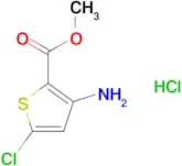 Methyl 3-amino-5-chlorothiophene-2-carboxylate hydrochloride