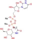 UDP-GlcNAc (disodium)