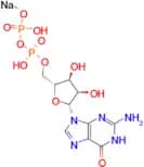 Guanosine 5′-diphosphate (sodium), 96% (HPLC)