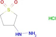 (1,1-Dioxidotetrahydrothien-3-yl)hydrazine hydrochloride