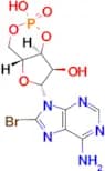 8-Bromo-cAMP