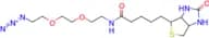 Biotin-PEG2-azide