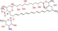 Amphotericin B methyl ester