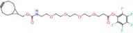 endo-BCN-PEG4-PFP ester