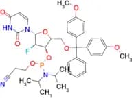 DMT-2′Fluoro-dU Phosphoramidite