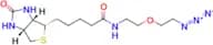 Biotin-PEG1-azide