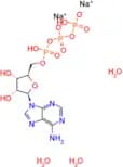ATP (disodium trihydrate)