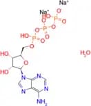 ATP (disodium salt hydrate)