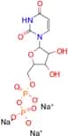 Uridine 5′-diphosphate (sodium salt)