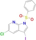 5-Chloro-3-iodo-1-(phenylsulfonyl)-1H-pyrrolo[2,3-b]pyridine