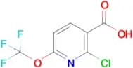 3-Pyridinecarboxylic acid, 2-chloro-6-(trifluoromethoxy)-