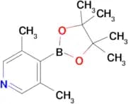 3,5-Dimethyl-4-(4,4,5,5-tetramethyl-1,3,2-dioxaborolan-2-yl)pyridine