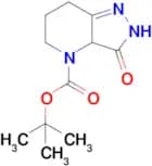 Tert-butyl 3-oxo-2H,3H,3aH,4H,5H,6H,7H-pyrazolo[4,3-b]pyridine-4-carboxylate