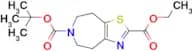 6-O-tert-butyl 2-O-ethyl 4,5,7,8-tetrahydro-[1,3]thiazolo[4,5-d]azepine-2,6-dicarboxylate