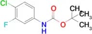 tert-Butyl (4-chloro-3-fluorophenyl)carbamate