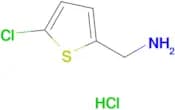 (5-Chlorothiophen-2-yl)methanamine hydrochloride