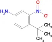 4-tert-Butyl-3-nitroaniline