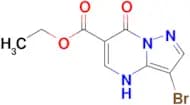 ethyl 3-bromo-7-oxo-4H,7H-pyrazolo[1,5-a]pyrimidine-6-carboxylate