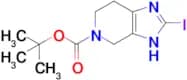 tert-butyl 2-iodo-3H,4H,5H,6H,7H-imidazo[4,5-c]pyridine-5-carboxylate